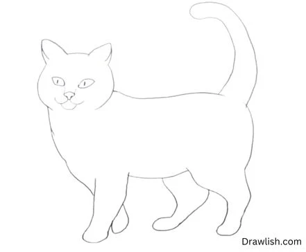 Minimalist Line Contour Outline of Standing Cat